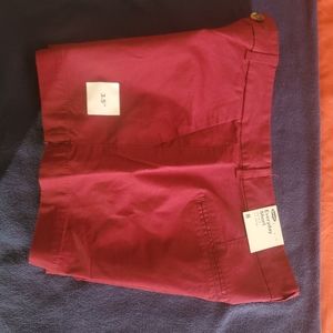 Shorts/burgundy